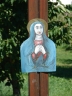 019c.JPG